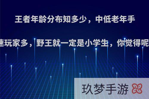 王者年龄分布知多少，中低老年手速玩家多，野王就一定是小学生，你觉得呢?