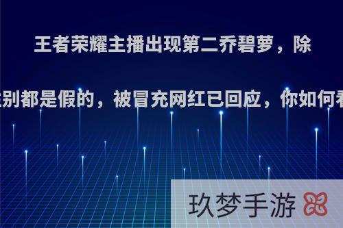 王者荣耀主播出现第二乔碧萝，除了性别都是假的，被冒充网红已回应，你如何看待?