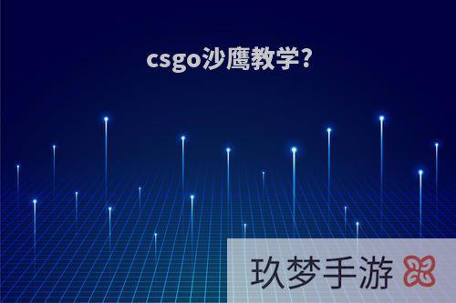 csgo沙鹰教学?