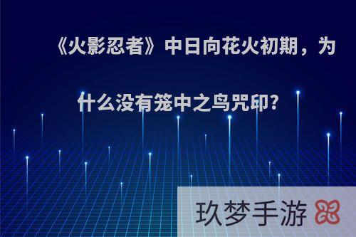 《火影忍者》中日向花火初期，为什么没有笼中之鸟咒印?