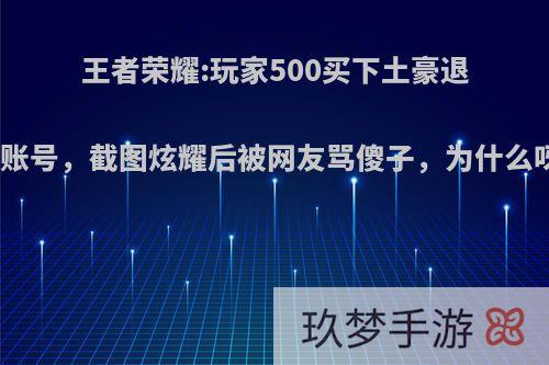 王者荣耀:玩家500买下土豪退坑账号，截图炫耀后被网友骂傻子，为什么呀?