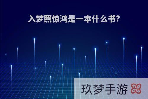 入梦照惊鸿是一本什么书?