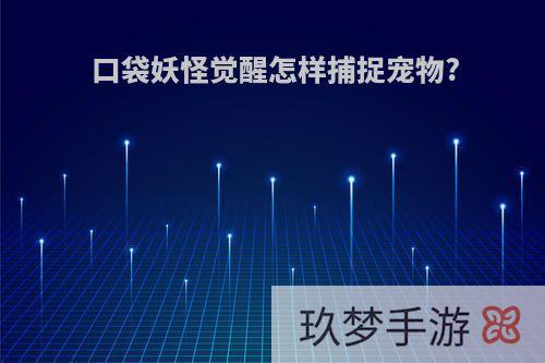 口袋妖怪觉醒怎样捕捉宠物?