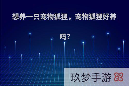 想养一只宠物狐狸，宠物狐狸好养吗?