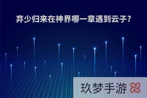 弃少归来在神界哪一章遇到云子?