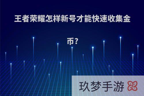 王者荣耀怎样新号才能快速收集金币?