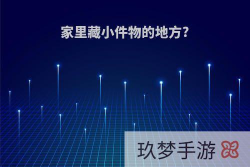 家里藏小件物的地方?
