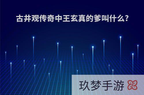 古井观传奇中王玄真的爹叫什么?