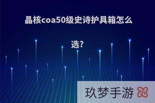 晶核coa50级史诗护具箱怎么选?