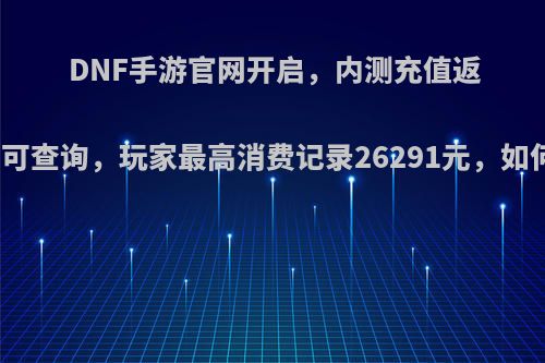 DNF手游官网开启，内测充值返利数据可查询，玩家最高消费记录26291元，如何评价?