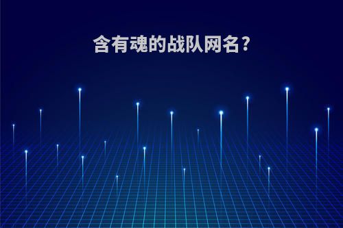 含有魂的战队网名?