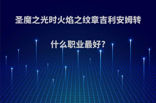 圣魔之光时火焰之纹章吉利安姆转什么职业最好?