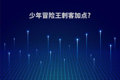 少年冒险王刺客加点?