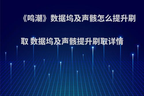 《鸣潮》数据坞及声骸怎么提升刷取 数据坞及声骸提升刷取详情