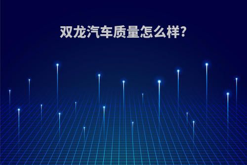 双龙汽车质量怎么样?