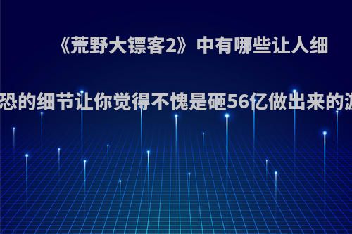 《荒野大镖客2》中有哪些让人细思极恐的细节让你觉得不愧是砸56亿做出来的游戏?