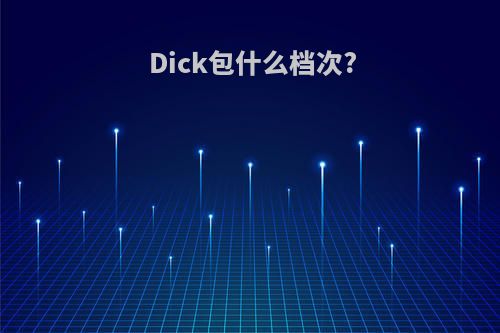 Dick包什么档次?