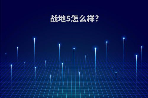 战地5怎么样?