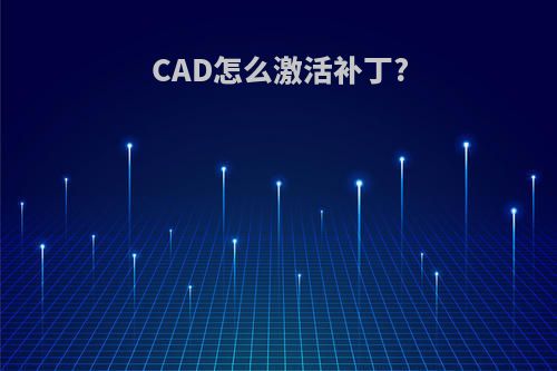 CAD怎么激活补丁?