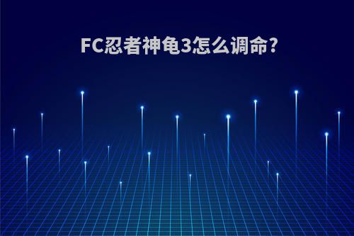 FC忍者神龟3怎么调命?