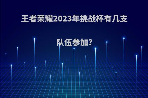 王者荣耀2023年挑战杯有几支队伍参加?