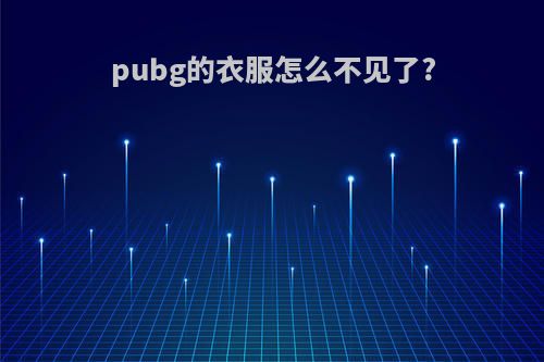 pubg的衣服怎么不见了?