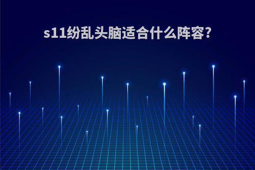 s11纷乱头脑适合什么阵容?