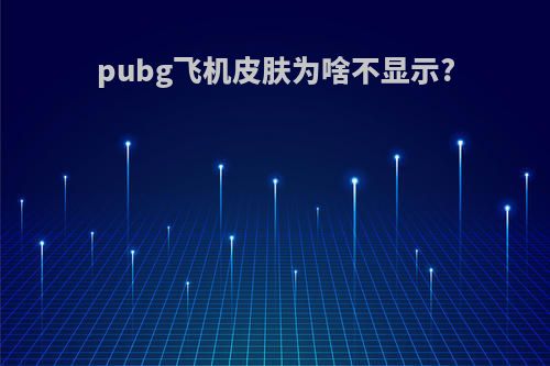 pubg飞机皮肤为啥不显示?