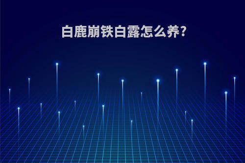 白鹿崩铁白露怎么养?