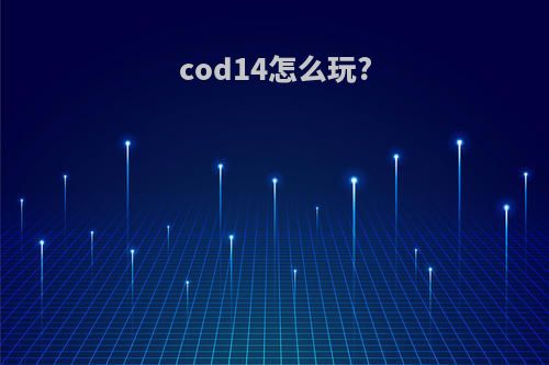 cod14怎么玩?