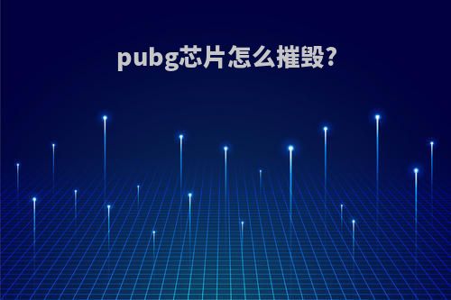 pubg芯片怎么摧毁?