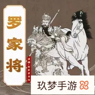 在罗家将、薛家将、杨家将之中，你对谁印象最深?为什么?(杨家将和薛家将是个朝代的吗)