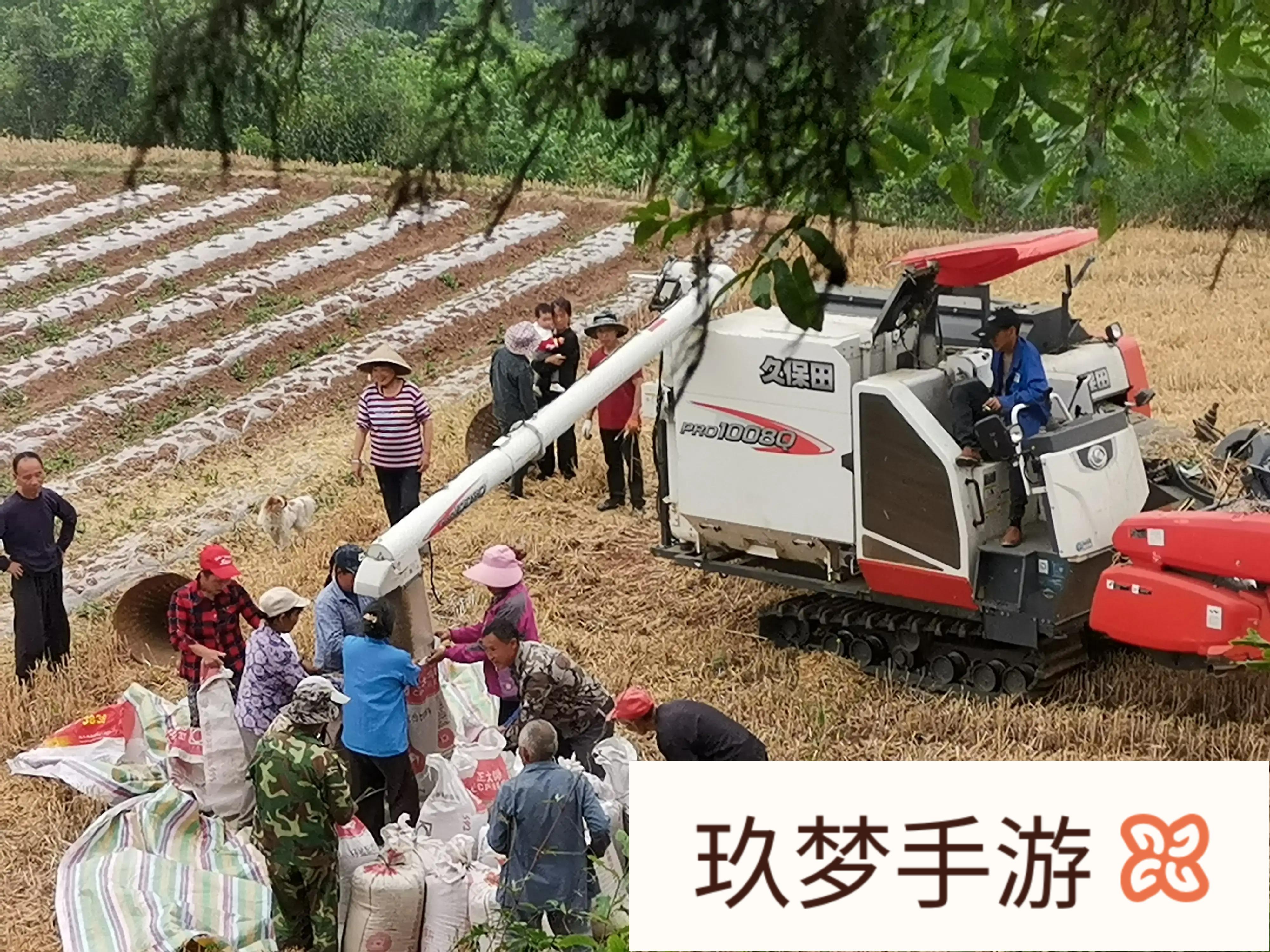 夏收季节，我想问问一台割麦机，能顶过去多少公社社员?(割麦机多少钱一亩)