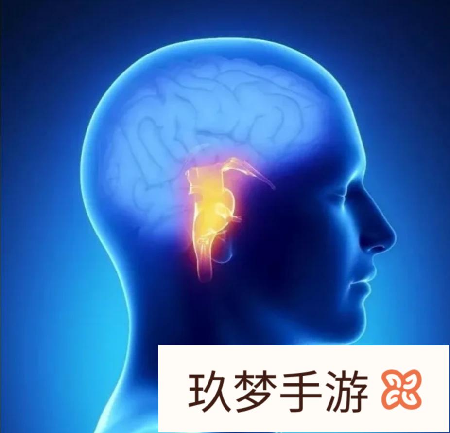 别人说我脑子是一根筋，就是想事情钻牛角，怎么办?(被别人说一根筋是不是傻)